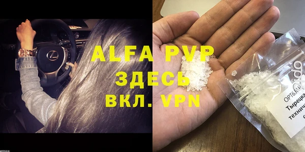 стаф Ладушкин