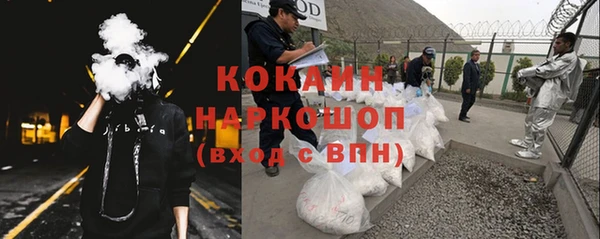 стаф Ладушкин