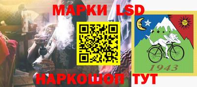 шишки Гатчина