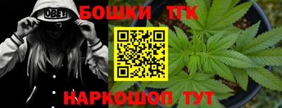 гашик Гагарин