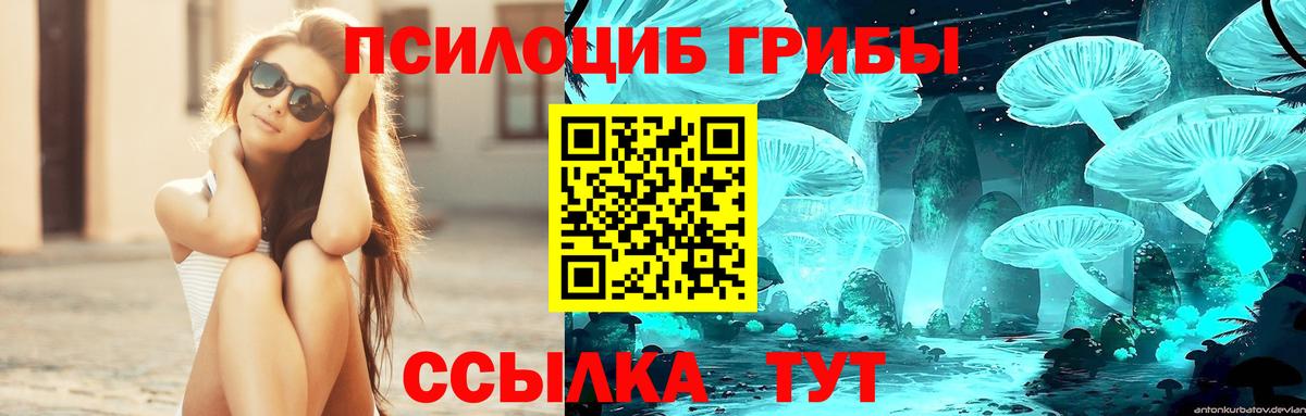 Псилоцибиновые грибы ЛСД  Псилоцибиновые грибы Psilocybe  Вход с VPN  Выкса 