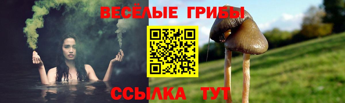 Псилоцибиновые грибы Cubensis  где купить наркоту  Выкса 